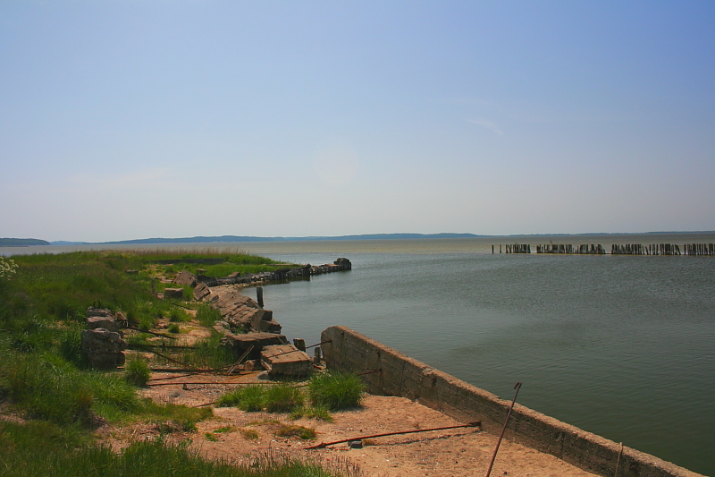 Bodden Gewsser Boddenlandschaften